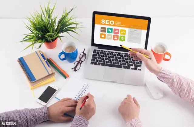 小猫舒服到鬼迷日眼